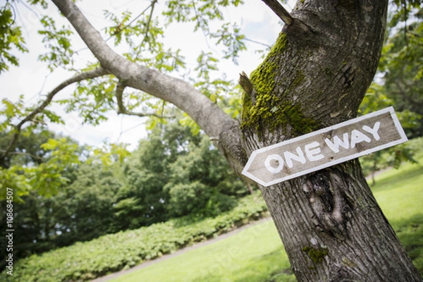 Fototapeta キャンプのある風景