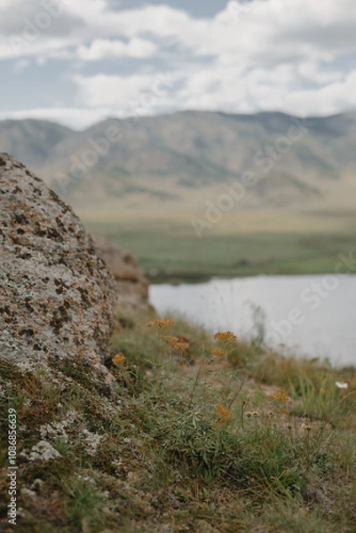 Obraz природа