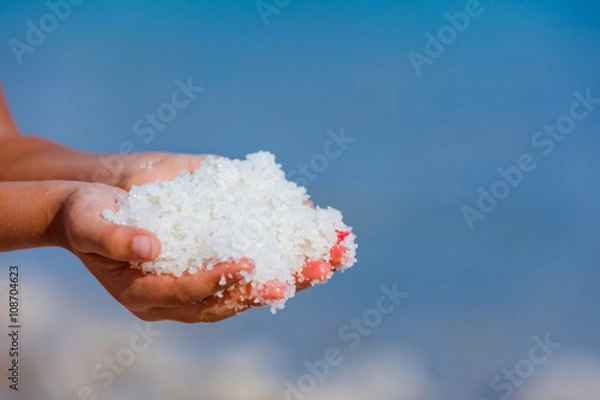 Obraz Hands with salt Dead Sea