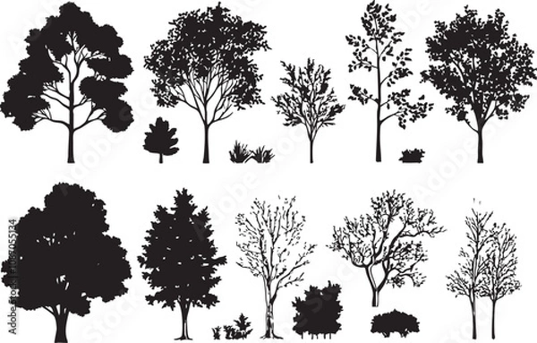 Fototapeta A hyper-realistic vector illustration of black tree silhouettes