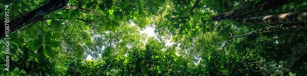 Fototapeta A breathtaking panoramic view of a rainforest canopy, with a dazzling array of green leaves stretching out as far as the eye can see.