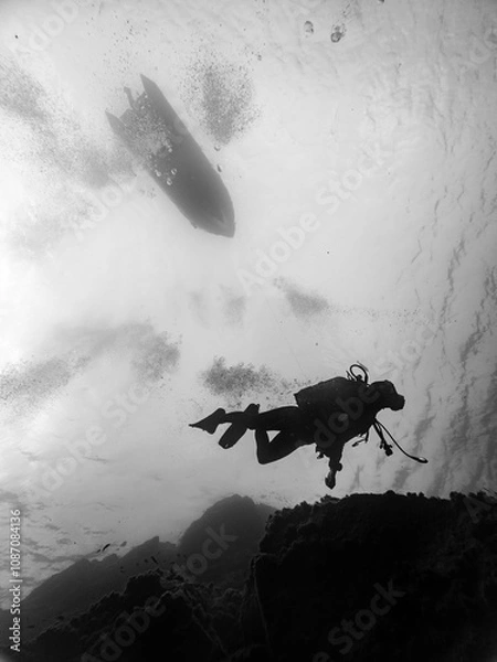 Obraz underwater scubadiving