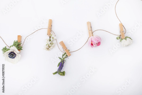 Fototapeta Spring flowers on the clips for visit card