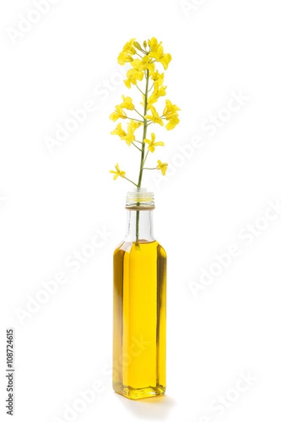 Fototapeta Rapeseed flower and canola oil in a bottle
