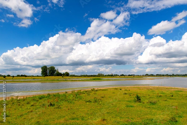Obraz Dutch river the IJssel