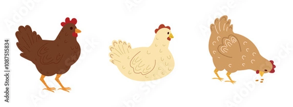 Fototapeta Cute hen set, farm animal bird, poultry,  chicken. Vector simple design isolated on white background