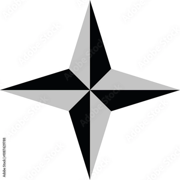 Obraz A four pointed star of grey color