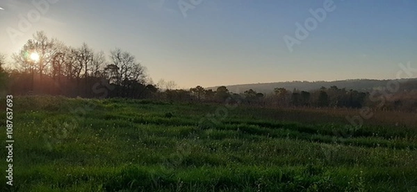 Obraz sunset over the field