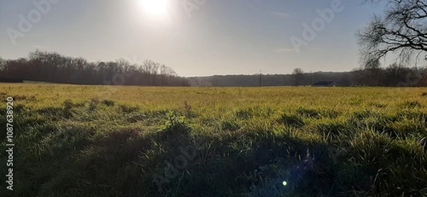 Obraz sunset over the river