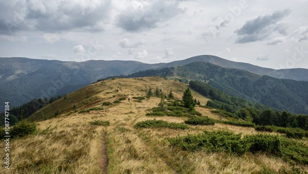 Fototapeta Ukrainian mountains Carpathians in autumn