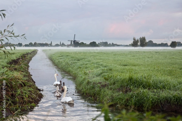Obraz Holland landscape