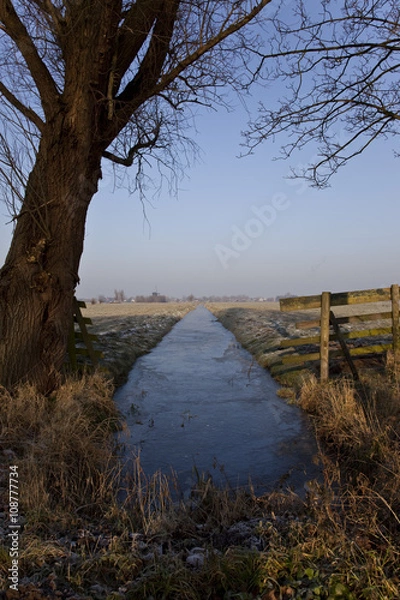 Obraz Holland nature