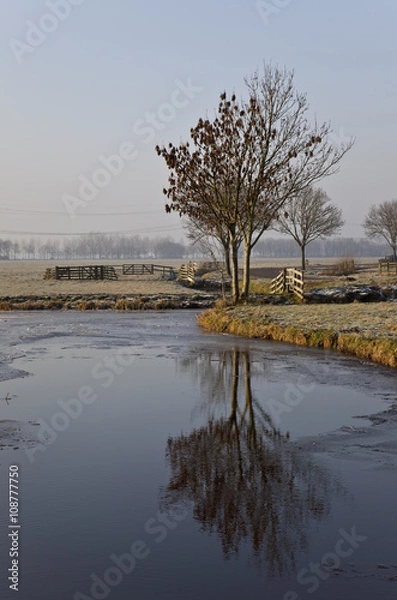 Obraz Holland nature