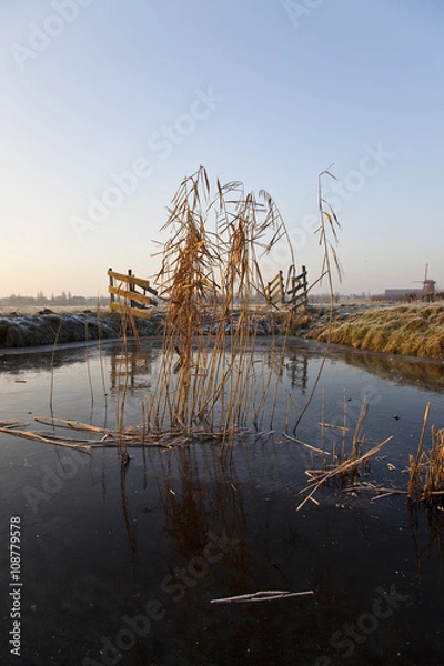 Obraz Windmill Holland