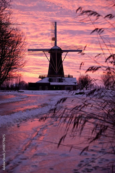 Obraz Windmill Holland