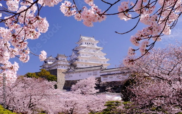 Fototapeta 姫路城