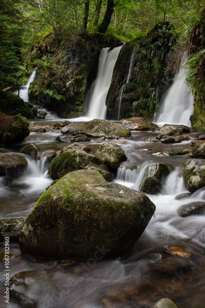 Obraz Three waterfalls in the forest