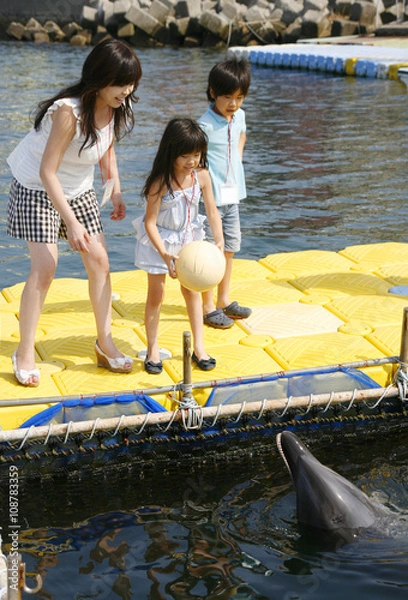 Fototapeta 日間賀島のイルカ