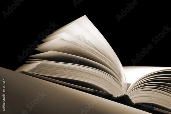 Fototapeta open book