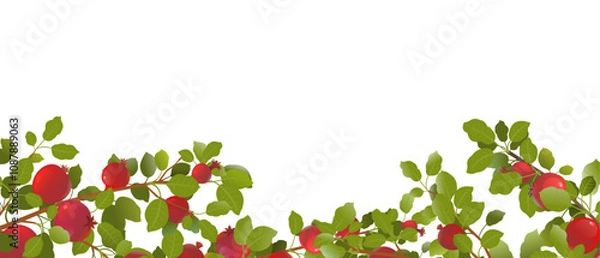 Fototapeta Below branch. Branches of pomegranate fruit. Ripe and red. Delicious harvest in garden. Object isolated on white background. Cartoon fun style Illustration vector