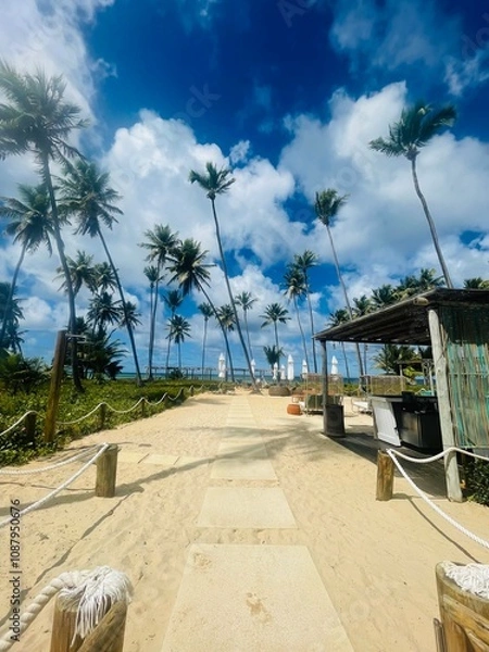 Obraz beach with palm trees