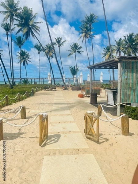 Obraz trees on the beach