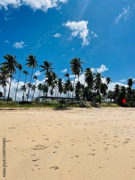 Obraz beach with palm trees