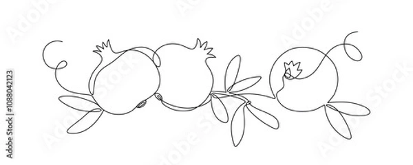 Obraz Pomegranate fruit with leaves, garnet drawn with continuous line in minimalism, tropical fruits, editable vector contour