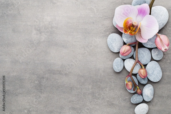 Fototapeta Spa orchid theme objects on grey background.