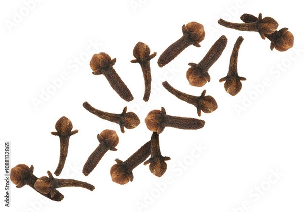Fototapeta Clove buds in air on white background. Aromatic spice