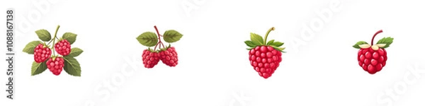 Fototapeta Flat style illustration of raspberry isolated on white background. Mix Collection Png.