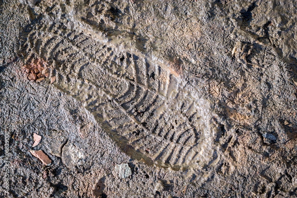 Obraz Bootprint in Fresh Mud