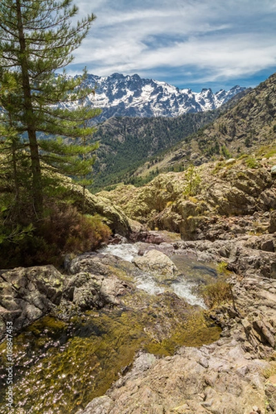 Fototapeta Small mountain stream in Corsica and Asco mountains