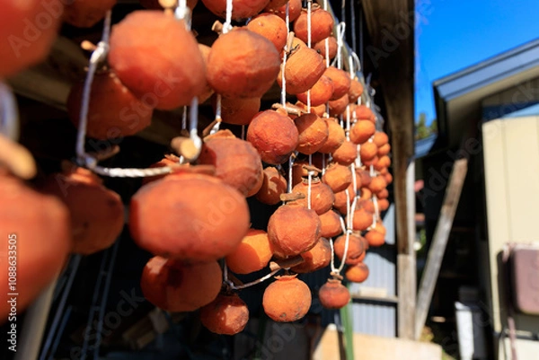 Obraz 軒先に吊るされた干し柿