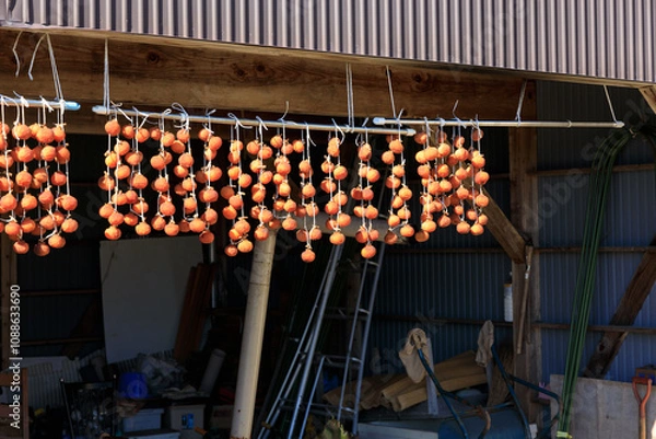 Obraz 軒先に吊るされた干し柿