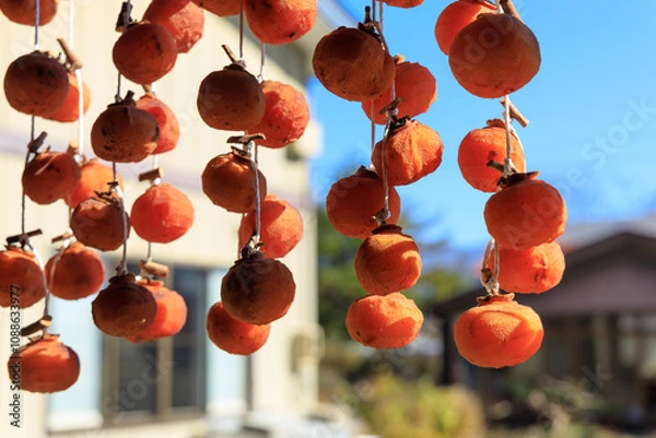 Obraz 軒先に吊るされた干し柿