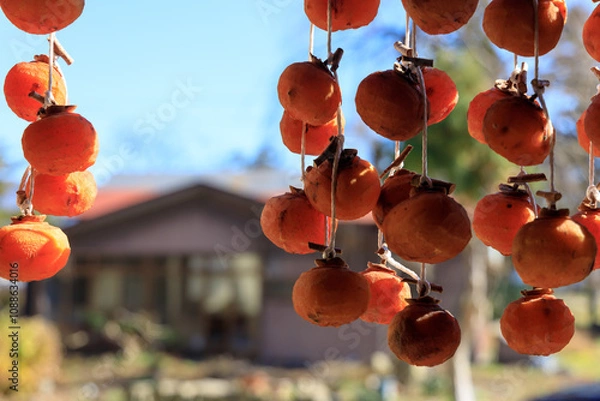 Obraz 軒先に吊るされた干し柿