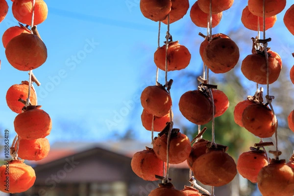 Obraz 軒先に吊るされた干し柿
