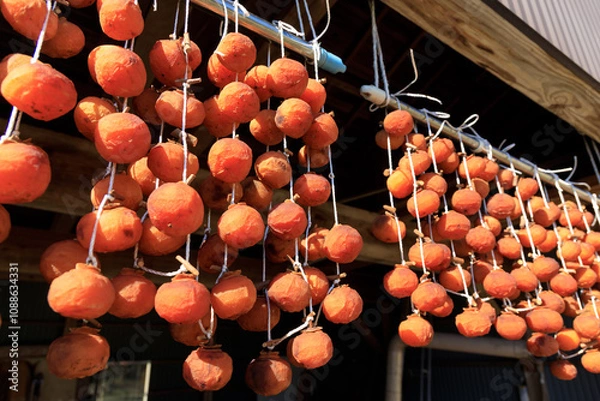 Obraz 軒先に吊るされた干し柿