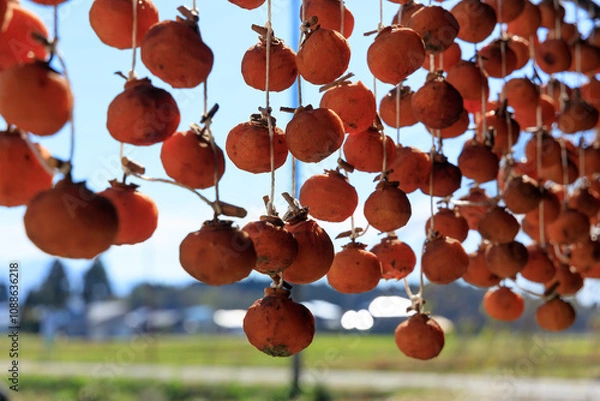 Obraz 軒先に吊るされた干し柿