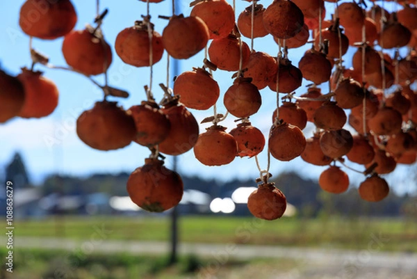 Obraz 軒先に吊るされた干し柿