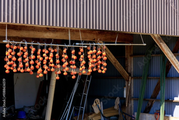 Obraz 軒先に吊るされた干し柿