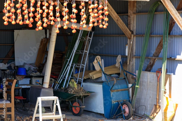 Obraz 軒先に吊るされた干し柿