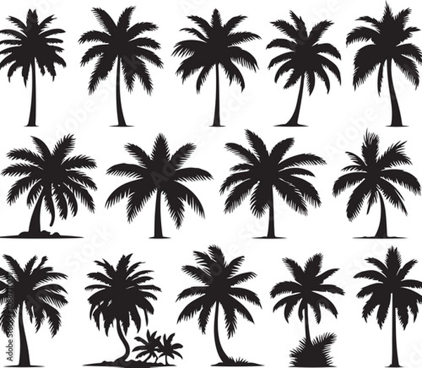 Fototapeta Black Vector Palm Tree Silhouettes