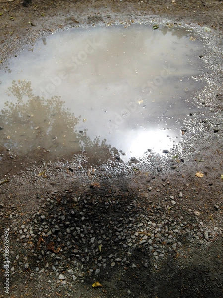 Obraz puddle on the path