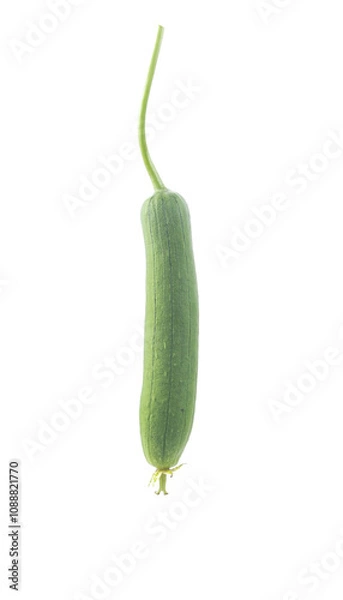 Fototapeta Sponge gourd on white background