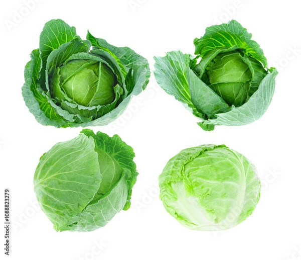 Fototapeta Fresh cabbage on white background