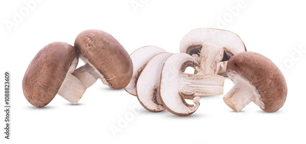 Fototapeta Fresh shiitake mushrooms on white background