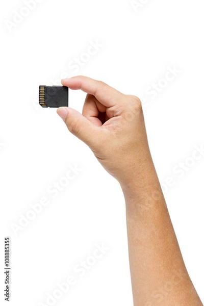 Obraz Hand holding SD card isolate on white