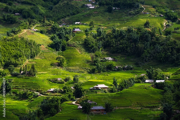 Fototapeta Scenic view of the hills in Sapa, Vietnam